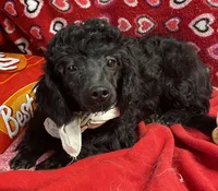 processed/39a05c3e-d350-4b4a-aad4-68ce86c8a148/listing/7f1b4561-807b-4735-bf39-1eaefd5d37a6/10495194-8a1b-4726-80c4-794fe458cb81