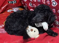 processed/39a05c3e-d350-4b4a-aad4-68ce86c8a148/listing/7f1b4561-807b-4735-bf39-1eaefd5d37a6/16757c94-404e-4be0-a380-b332157ac05f