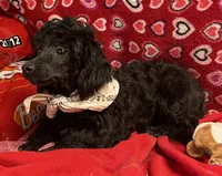 processed/39a05c3e-d350-4b4a-aad4-68ce86c8a148/listing/7f1b4561-807b-4735-bf39-1eaefd5d37a6/7a176c07-ef0e-40f9-90bc-5ef884a76342