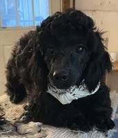 processed/39a05c3e-d350-4b4a-aad4-68ce86c8a148/listing/7f1b4561-807b-4735-bf39-1eaefd5d37a6/7cd4a299-2273-4962-a898-4c1e9ab7b9c9