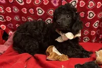 processed/39a05c3e-d350-4b4a-aad4-68ce86c8a148/listing/7f1b4561-807b-4735-bf39-1eaefd5d37a6/8209b463-3f20-4bae-954a-cb8fc036f984