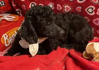 processed/39a05c3e-d350-4b4a-aad4-68ce86c8a148/listing/7f1b4561-807b-4735-bf39-1eaefd5d37a6/aa7ac99e-8482-4007-a3ef-a33d4df84efe