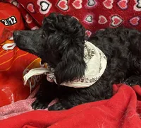 processed/39a05c3e-d350-4b4a-aad4-68ce86c8a148/listing/7f1b4561-807b-4735-bf39-1eaefd5d37a6/ce4a9e01-dcad-465a-865c-619e2dc865a9