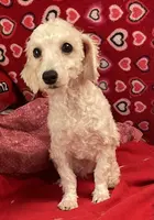 processed/39a05c3e-d350-4b4a-aad4-68ce86c8a148/listing/a2ff5b8b-28c3-4635-a1c6-f84263ea5de1/03311aeb-c68f-4f76-87bf-3fe83d76a245