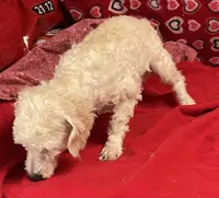 processed/39a05c3e-d350-4b4a-aad4-68ce86c8a148/listing/a2ff5b8b-28c3-4635-a1c6-f84263ea5de1/16aabc4f-b735-4fd3-a58f-f0b74f907c81