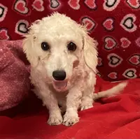 processed/39a05c3e-d350-4b4a-aad4-68ce86c8a148/listing/a2ff5b8b-28c3-4635-a1c6-f84263ea5de1/26829ecd-f131-410b-9f31-a0d4fad13ab6