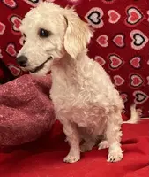 processed/39a05c3e-d350-4b4a-aad4-68ce86c8a148/listing/a2ff5b8b-28c3-4635-a1c6-f84263ea5de1/31543c8c-e7d4-4b6d-b081-53773f0463c6