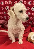 processed/39a05c3e-d350-4b4a-aad4-68ce86c8a148/listing/a2ff5b8b-28c3-4635-a1c6-f84263ea5de1/9fb65eca-d686-4172-9f73-98e101f7820f