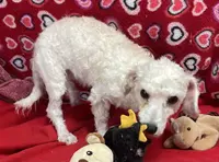 processed/39a05c3e-d350-4b4a-aad4-68ce86c8a148/listing/a2ff5b8b-28c3-4635-a1c6-f84263ea5de1/a09304a0-5869-4ff0-b096-f884c30f0556