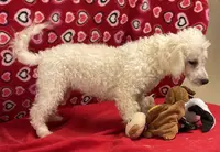 processed/39a05c3e-d350-4b4a-aad4-68ce86c8a148/listing/b066c165-05eb-45c7-8922-3f21a2b0440a/64bdfd14-2707-4770-8fad-dafbe39f6b71