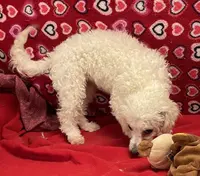 processed/39a05c3e-d350-4b4a-aad4-68ce86c8a148/listing/b066c165-05eb-45c7-8922-3f21a2b0440a/6b5fab04-6d26-4f8c-9d77-c17c08a0200e