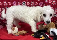 processed/39a05c3e-d350-4b4a-aad4-68ce86c8a148/listing/b066c165-05eb-45c7-8922-3f21a2b0440a/6c1a12b6-5cb7-4f88-a58e-be8d0a360698