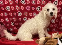 processed/39a05c3e-d350-4b4a-aad4-68ce86c8a148/listing/b066c165-05eb-45c7-8922-3f21a2b0440a/99dbaaef-4659-4505-a52b-7e1b22cc48ba