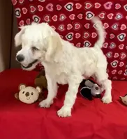 processed/39a05c3e-d350-4b4a-aad4-68ce86c8a148/listing/b85139d6-1e20-49ac-9611-c98c32400e36/1e454490-b251-48e0-adcf-8ce29de3e0cc