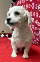 processed/39a05c3e-d350-4b4a-aad4-68ce86c8a148/listing/b85139d6-1e20-49ac-9611-c98c32400e36/20b8d62a-8266-4934-aa87-24a99150d846