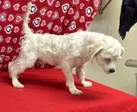 processed/39a05c3e-d350-4b4a-aad4-68ce86c8a148/listing/b85139d6-1e20-49ac-9611-c98c32400e36/24f17452-7fef-4884-9a1c-5ad815739013