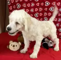 processed/39a05c3e-d350-4b4a-aad4-68ce86c8a148/listing/b85139d6-1e20-49ac-9611-c98c32400e36/5d7fb4b3-9256-44b1-a8e6-d6dbeea43b10