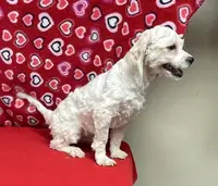 processed/39a05c3e-d350-4b4a-aad4-68ce86c8a148/listing/b85139d6-1e20-49ac-9611-c98c32400e36/6593c6f0-8cc8-4899-905a-fc4cade7e263