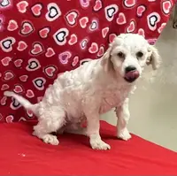 processed/39a05c3e-d350-4b4a-aad4-68ce86c8a148/listing/b85139d6-1e20-49ac-9611-c98c32400e36/a44a1ef3-dffa-45a7-a68c-394e991185c6