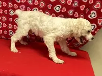 processed/39a05c3e-d350-4b4a-aad4-68ce86c8a148/listing/b85139d6-1e20-49ac-9611-c98c32400e36/b4540de0-692d-458e-ae53-0c6eaf2834f2