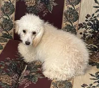 processed/39a05c3e-d350-4b4a-aad4-68ce86c8a148/listing/e1c75ed1-7267-49f9-aef8-07f66ebe8d03/2417529e-0a69-4774-978f-9ca87d2ffa41