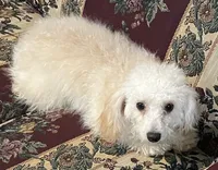 processed/39a05c3e-d350-4b4a-aad4-68ce86c8a148/listing/e1c75ed1-7267-49f9-aef8-07f66ebe8d03/6e79283e-a84f-485a-95f6-f32fa7b659c3