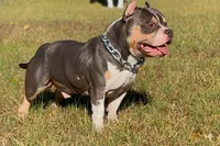 processed/39a137f1-b6d2-40e0-8fe4-97813b0489d2/facility/96a4bfb2-ef23-4061-b98b-cb91a6525af8