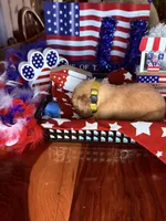 Glory, a female Golden Retriever for sale in Terrell, TX – 2 of 5