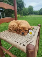 processed/39ba6840-cb90-4419-af63-34651aca7aeb/facility/2204a36d-48eb-4e0c-a1ab-a5e85ef0c0ae