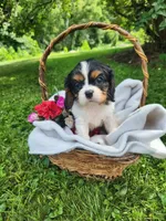 processed/39ba6840-cb90-4419-af63-34651aca7aeb/facility/37621689-099c-4119-b34d-f08c3b6a5a07