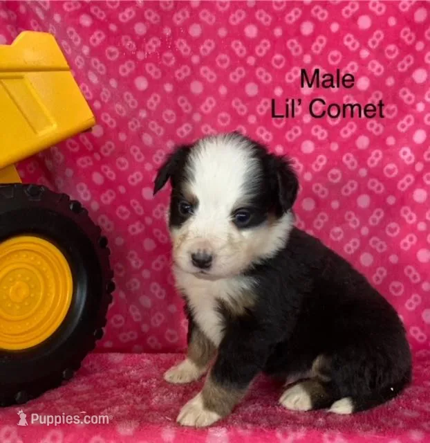Lil' Comet