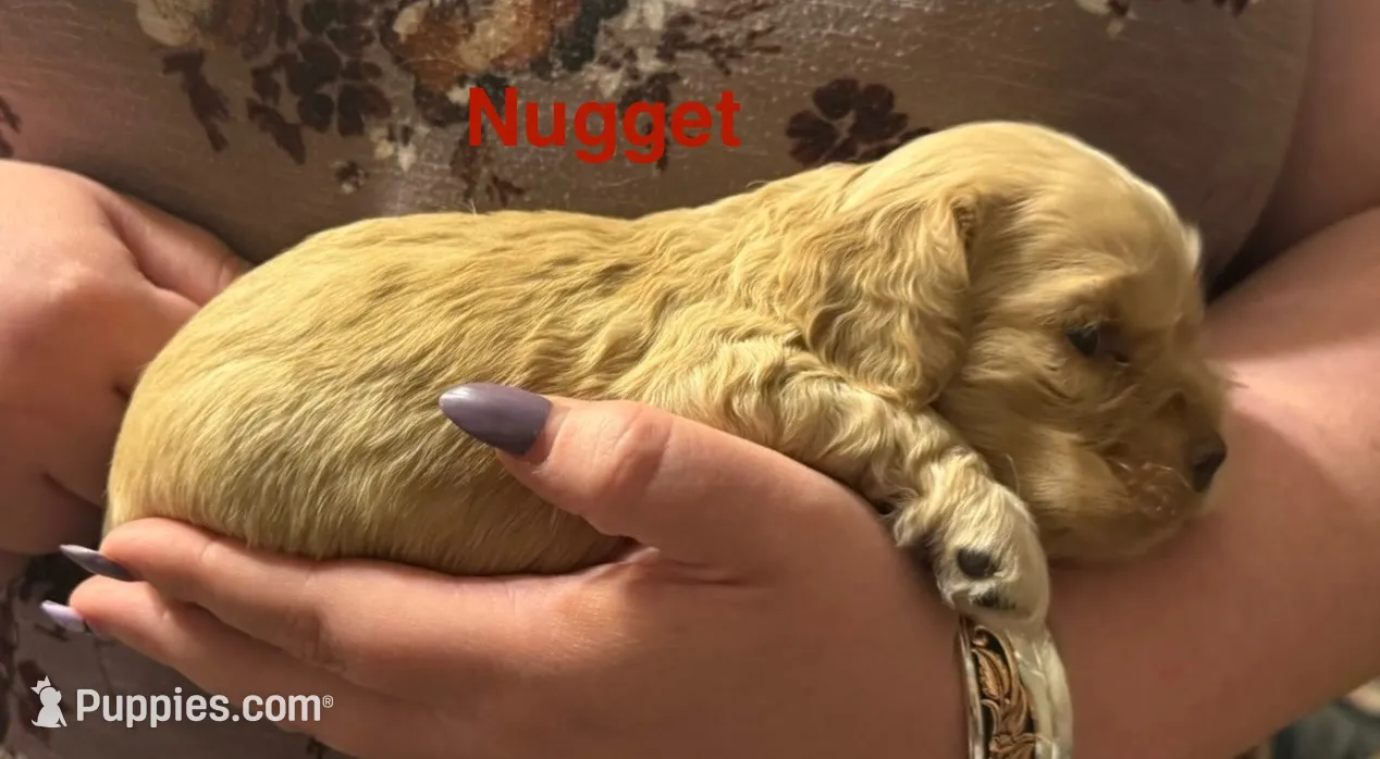 processed/39c4d864-e56d-4a0d-84a2-4101d545f766/listing/746b47cc-daf4-4400-a568-d80968bbb73a/7f7d315e-7aaa-45c4-b00d-f9169d54f97a