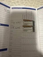 Rocky, a male Rottweiler for sale in Elgin, IL – Photo 4 of 4