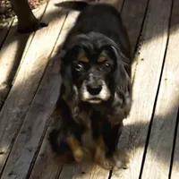 processed/39d1dd67-cf4f-4b0d-8ae1-a7ac8c2ab420/facility/103e0654-11f2-4db8-b32a-f41b5a0e07ec