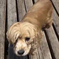 processed/39d1dd67-cf4f-4b0d-8ae1-a7ac8c2ab420/facility/11634754-5b7e-4bd3-ba4e-71c205e651ec