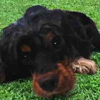 processed/39d1dd67-cf4f-4b0d-8ae1-a7ac8c2ab420/facility/32fdb2aa-500a-41dd-bb4c-9ba41ebeabe1