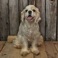 processed/39d1dd67-cf4f-4b0d-8ae1-a7ac8c2ab420/facility/8abd27cb-f945-4749-b065-3ff4c7aac139