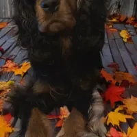 processed/39d1dd67-cf4f-4b0d-8ae1-a7ac8c2ab420/facility/900548fd-74ea-4801-aad8-ed96b2f35144