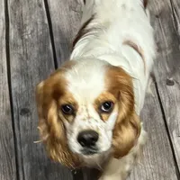 processed/39d1dd67-cf4f-4b0d-8ae1-a7ac8c2ab420/facility/d2398ec4-3cca-4418-929a-cd59e948f445