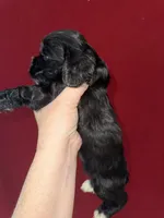 processed/39d1dd67-cf4f-4b0d-8ae1-a7ac8c2ab420/listing/d1959a47-6b04-47ea-8654-d8dfa7105e2e/06783019-5fe1-414d-a380-3bdc8d9df9bb