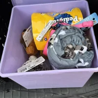 Luke AKC, a male Cocker Spaniel for sale in Byram, MS – Photo 10 of 10