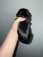 processed/39d1dd67-cf4f-4b0d-8ae1-a7ac8c2ab420/listing/d1959a47-6b04-47ea-8654-d8dfa7105e2e/26e87311-9c7a-4fd3-ba44-6ad934ec8111