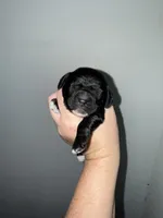 processed/39d1dd67-cf4f-4b0d-8ae1-a7ac8c2ab420/listing/d1959a47-6b04-47ea-8654-d8dfa7105e2e/8da772ea-ec04-445f-a99a-52f98904cd88