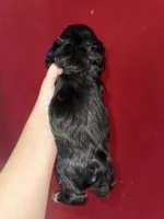 processed/39d1dd67-cf4f-4b0d-8ae1-a7ac8c2ab420/listing/d1959a47-6b04-47ea-8654-d8dfa7105e2e/b76f2c94-e292-4ec4-97f9-3cf0c074aeef