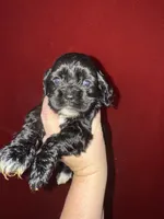 processed/39d1dd67-cf4f-4b0d-8ae1-a7ac8c2ab420/listing/d1959a47-6b04-47ea-8654-d8dfa7105e2e/bef7ee66-a3d7-4fc4-b1c9-494d240cd3de