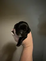 processed/39d1dd67-cf4f-4b0d-8ae1-a7ac8c2ab420/listing/d1959a47-6b04-47ea-8654-d8dfa7105e2e/d1f5ac02-6806-4f5e-9a28-530dce5df586