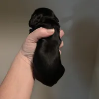 Luke AKC, a male Cocker Spaniel for sale in Byram, MS – Photo 8 of 10