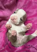 processed/39d9dbcf-8178-457e-a01b-98f34f478fef/facility/108dfb93-d973-4fde-bdf0-2a022512724c