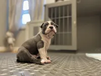 processed/39d9dbcf-8178-457e-a01b-98f34f478fef/facility/23f900af-5f5c-48f7-9333-1175c0497357