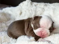 processed/39d9dbcf-8178-457e-a01b-98f34f478fef/facility/54e673ef-204a-4088-95d0-7b0b2bb15b0e